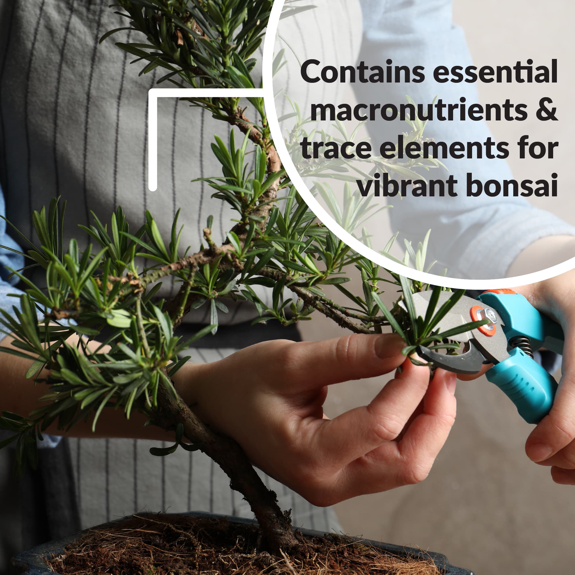 SUPERthrive Bonsai-Pro 7-9-5 Plant Food
